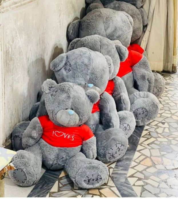 Teddi teddy+uchar shar (Dostavka)