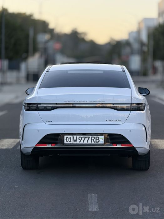 BYD chazor 2 позиция 55 км