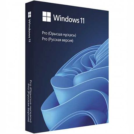 Microsoft Windows 11 Professional 64 bit BOX (Windows 11)