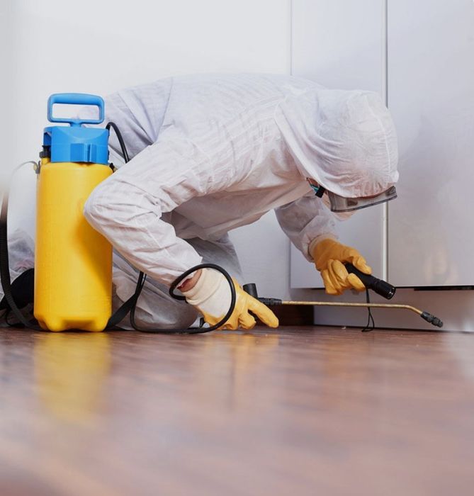 Dezenfektsiya xizmati