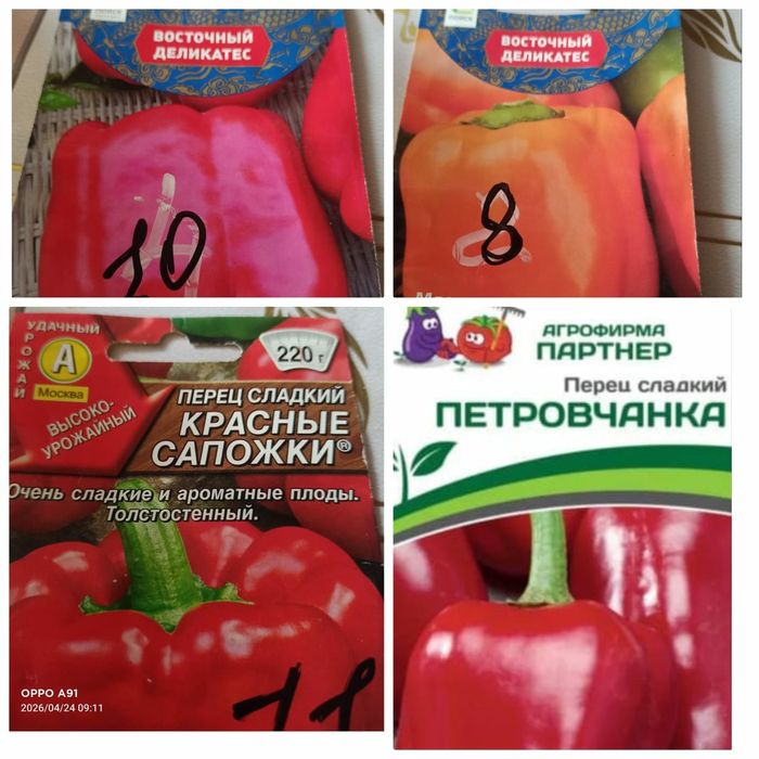 РАССАДА Томатов и Перца.