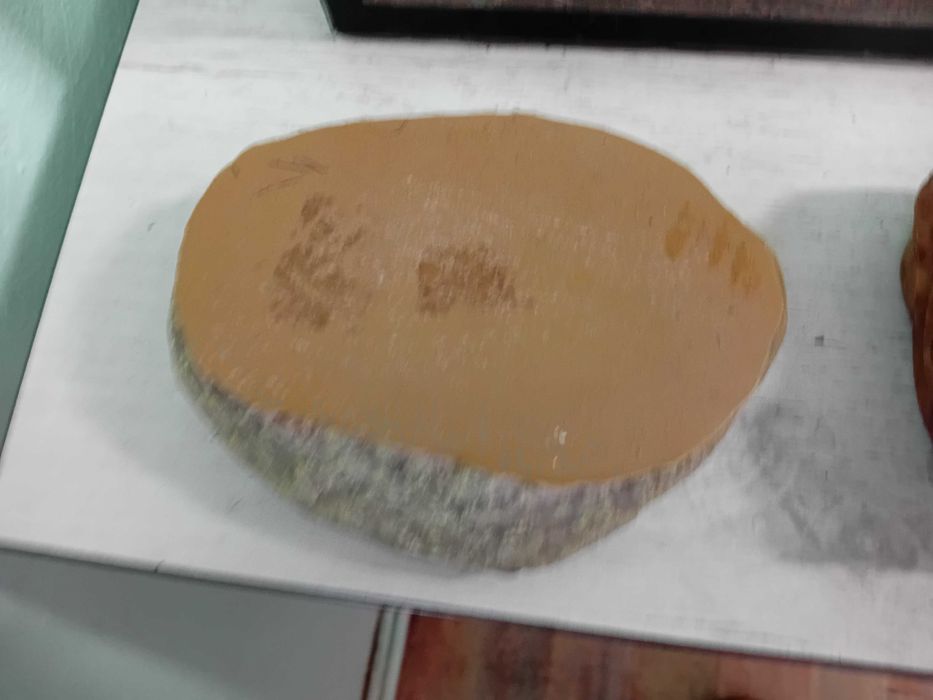 Терариум терароум терариум