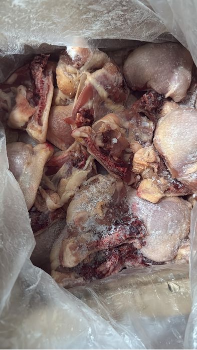 Мясо курицы оптом