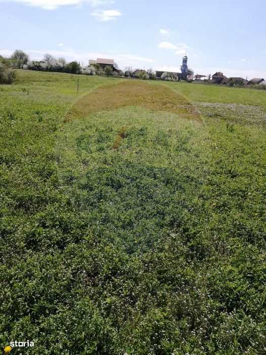 De vânzare teren intravilan, 6574 mp în Leș
