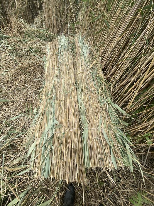 Камыс камыш маты