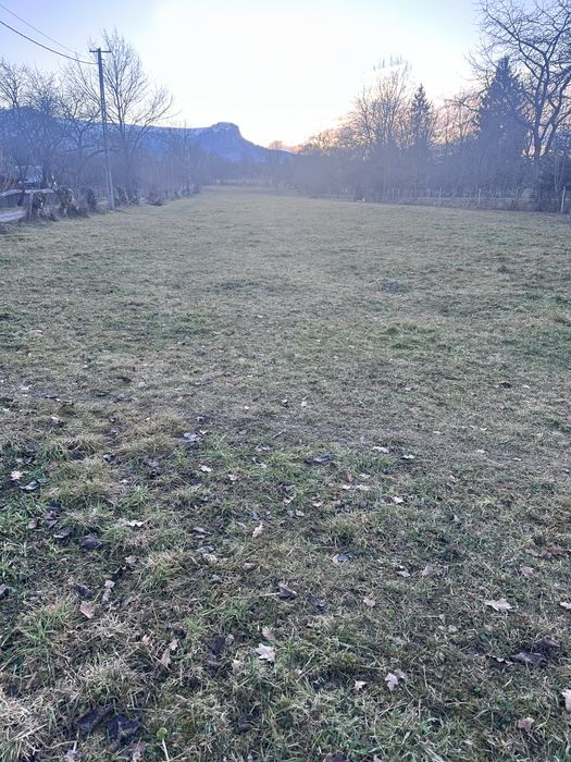 Vand teren/ parcela 1000 mp in Breb- Maramures