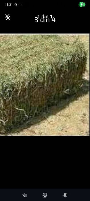 De vânzare baloți lucernă circa 25 kg