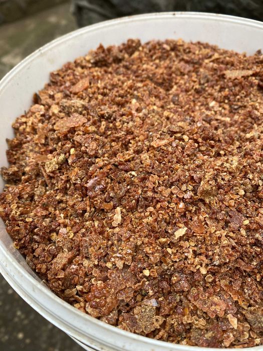 Propolis brut productie 2025