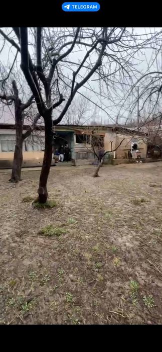 Тошкент вилояти Бостонлик. Тумани Нанай КФЙ