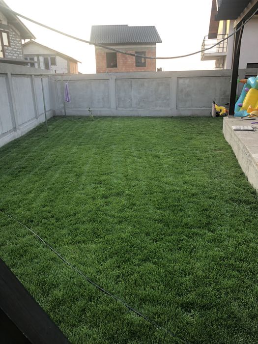 Întreținere grădină