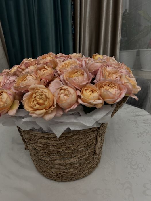 Бует густовые розы