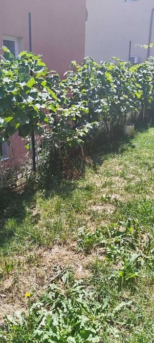 Къща в кв Байкушева махала малка кокетна на два етажа с вътрешни стълб