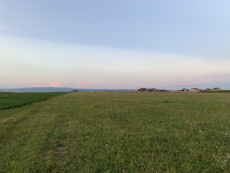 Teren intravilan intre Bod si Sanpetru