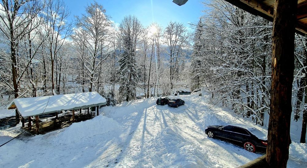 Cabana de închiriat/ Cazare