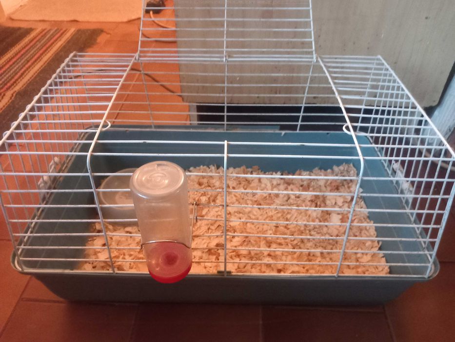 Клетка за Морско Свинче