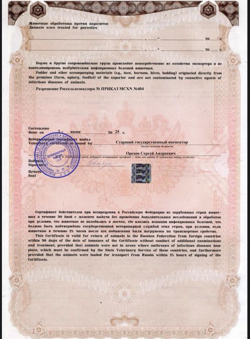 Пиявки медицинские, Гирудотерапия
