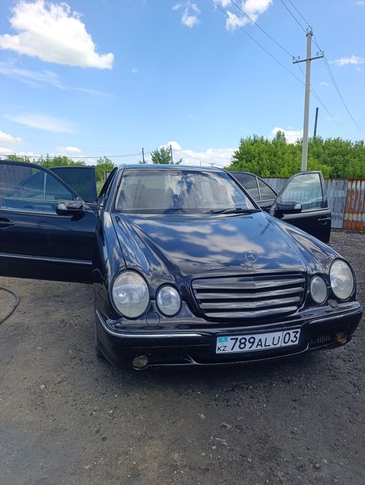 Продам живого мерса