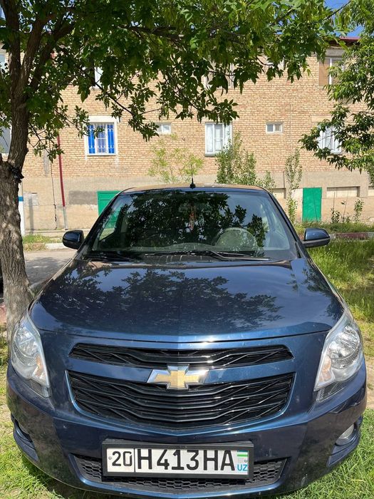 Other Cobalt 2024 — 6