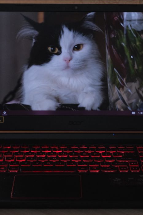 Acer Nitro 5 AN515-44