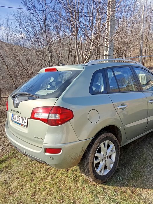 Vând Reuanult Koleus