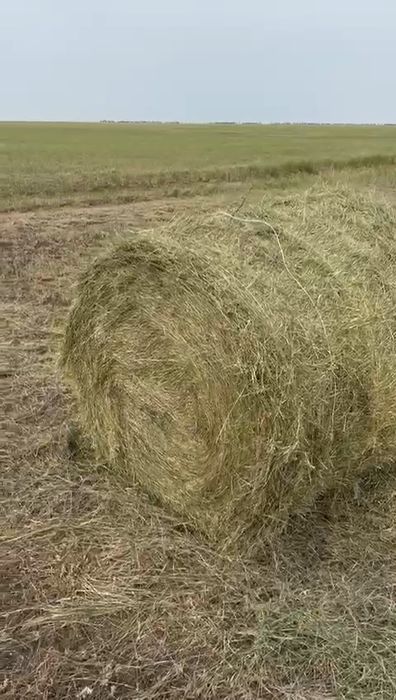 ШӨП, Разнотравье ,с доставка