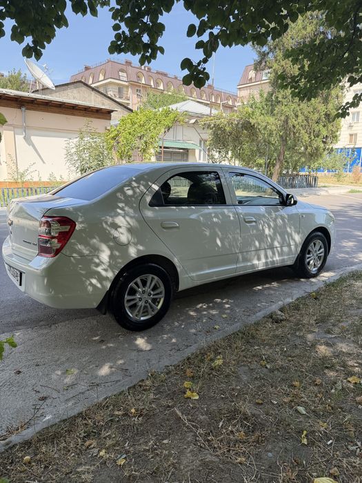 Kobild 2024 yil 7000 km yurgan