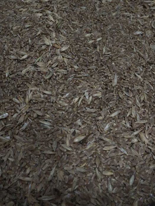 Продам 6 бочек корма для кур-несушек
