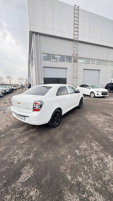 Cobalt midnight mcm fulli