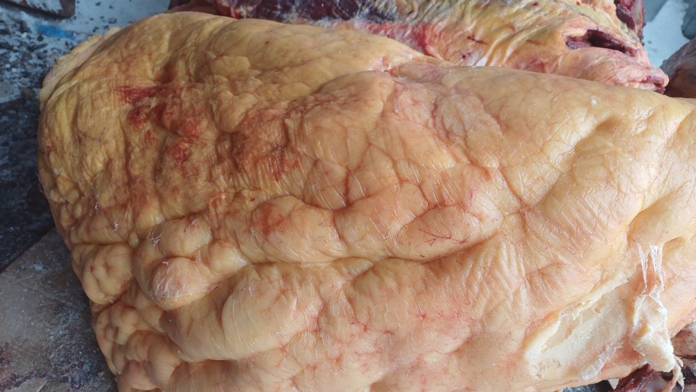 Мясо  конина продам