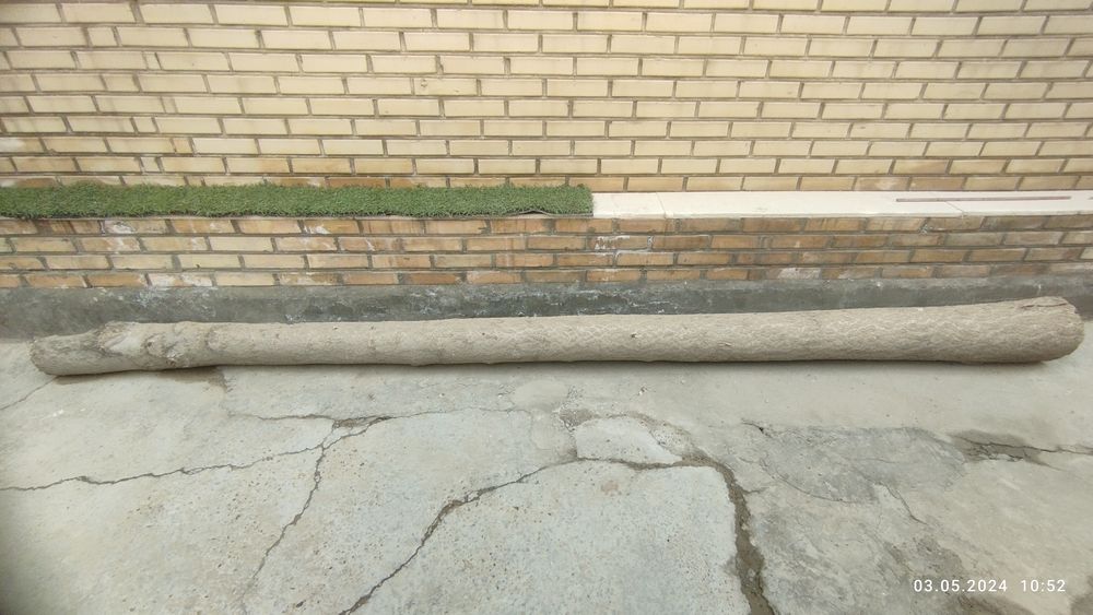 Продаётся дерево