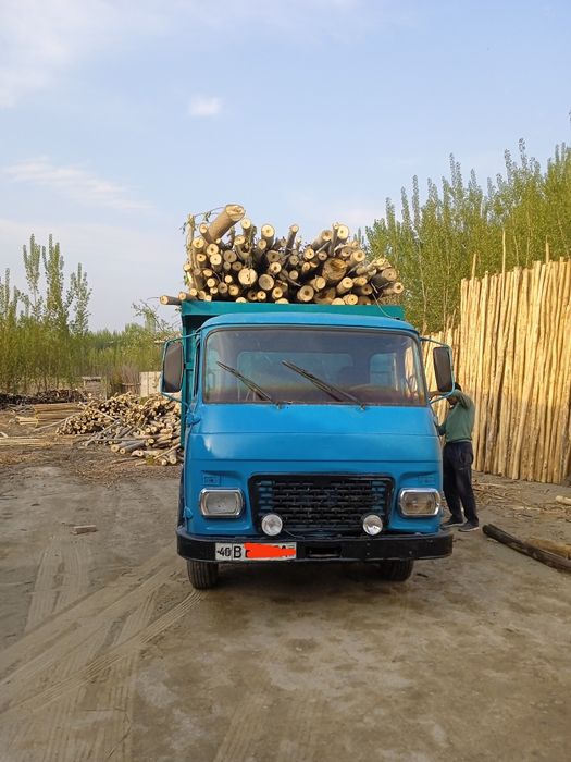 Avia xamma joyi soʻz xolatda