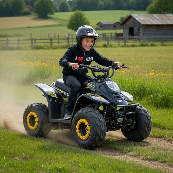 ATV noi BEMI 125 Panzer Automatic DNR 7" LED KXD