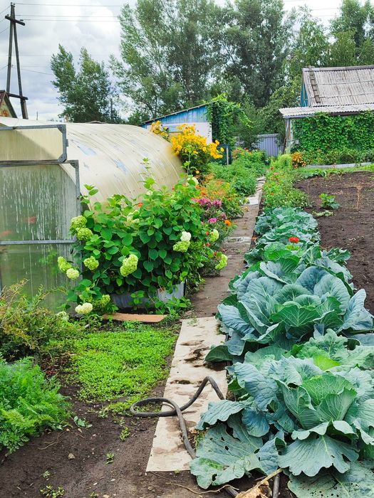 Срочно!Продам дачу 10 соток