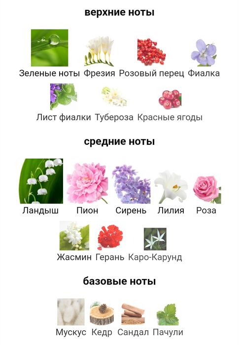 Духи Estee Lauder pleasures