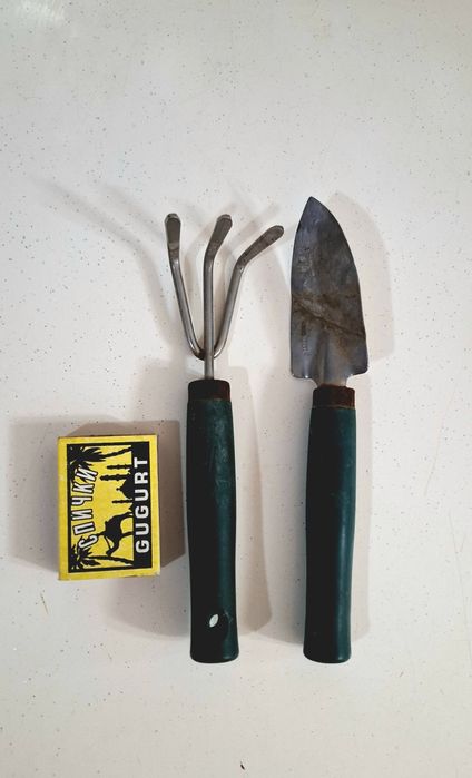 Продаётся хойя карноза,гипоэстэс(3расцветки)денежное дерево.