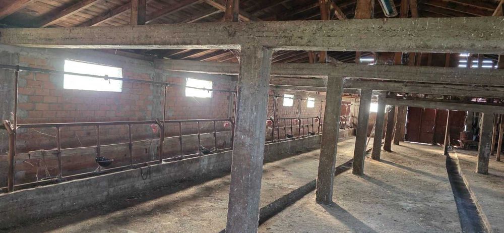 Продава се Промишлена сграда в с. Знаменосец, Област Стара Загора - 270 кв.м за 145 €/кв.м - Снимка #3