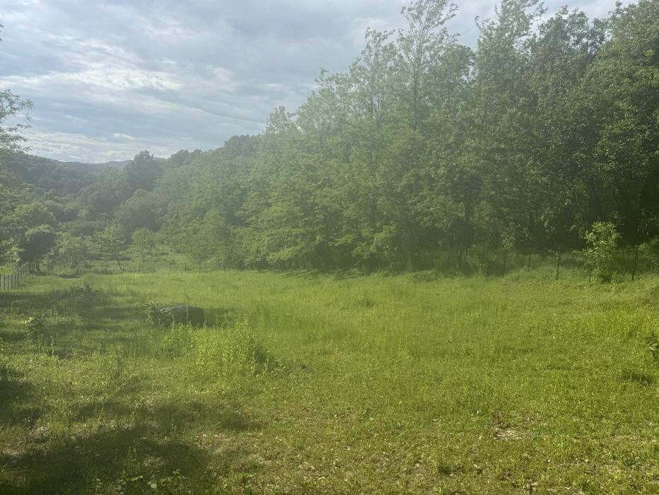 Teren intravilan / extravilan Ocnele Mari