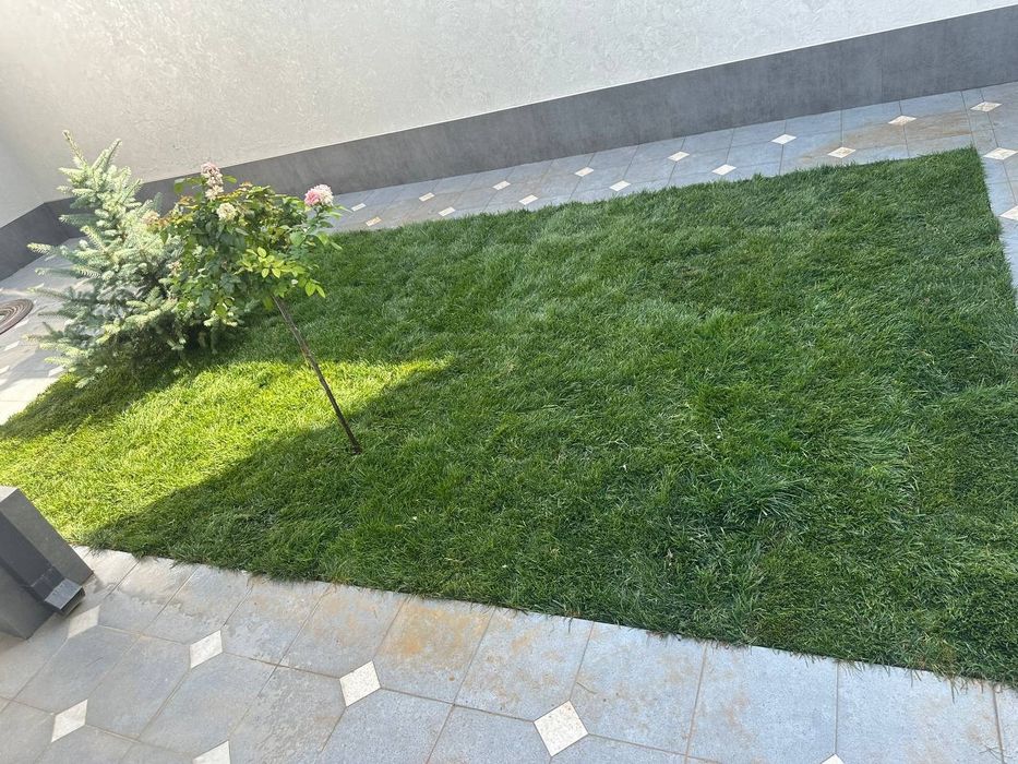 Tayyor rulon gazon poliv ustanovka