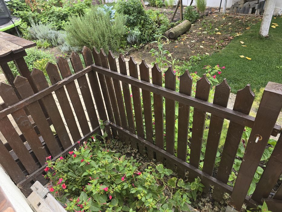 Vând gardut de 1 metru inaltime