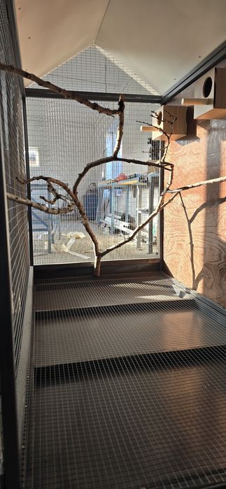 Папугайға клетка