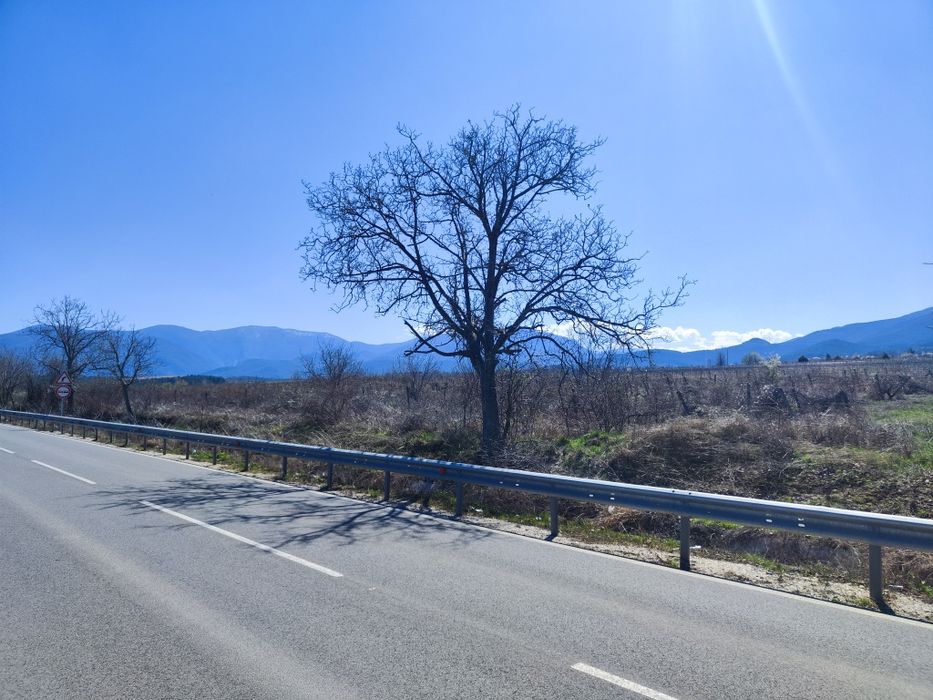 Продава се Земеделски имот в с. Червен, Област Русе -  кв.м за 4 €/дка - Снимка #3