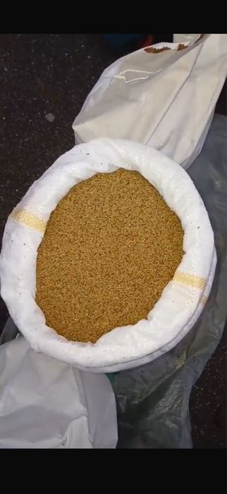 Samantă de lucernă