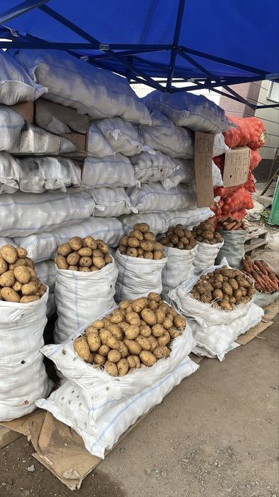 Картошка картофель