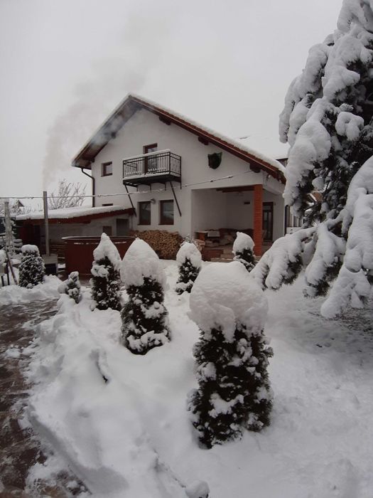 Închiriez casa de vacanta la munte cu ciubar