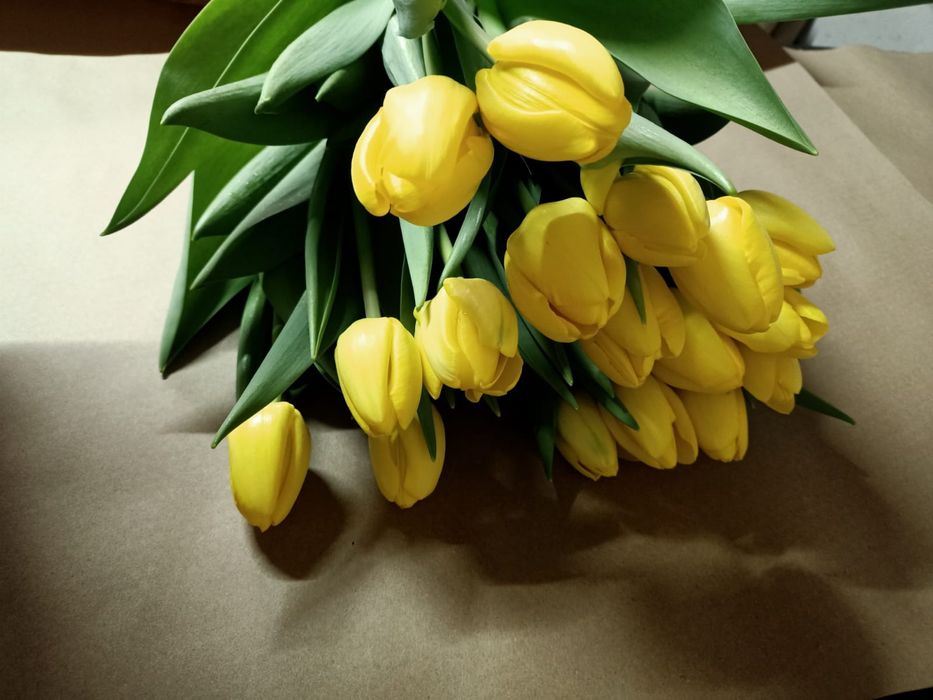 Тюльпаны на 8 марта!!!