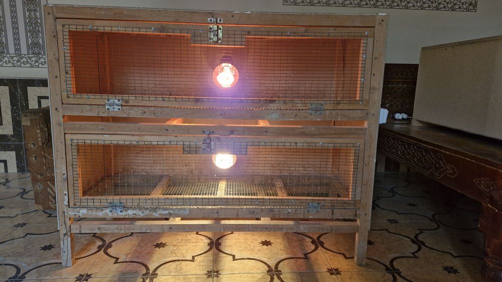 Инкубатор 100талик