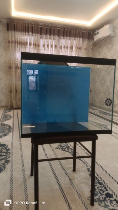 Аквариум для риб