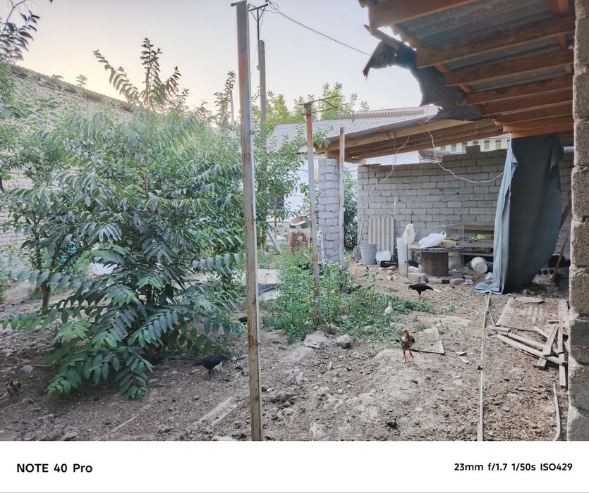 Уй сотилади 6 сотих 6 хонали хамма шароити бор