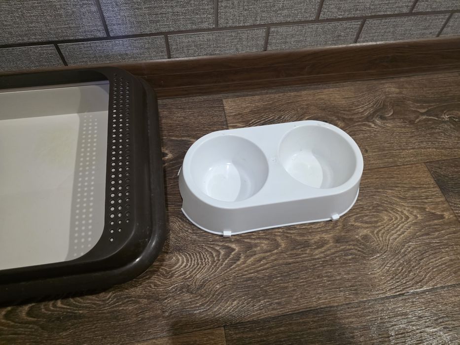 Лоток и миска для кошек