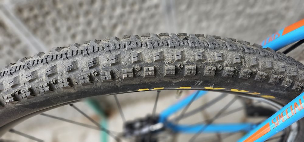 Specialized Carve Expert 29 L